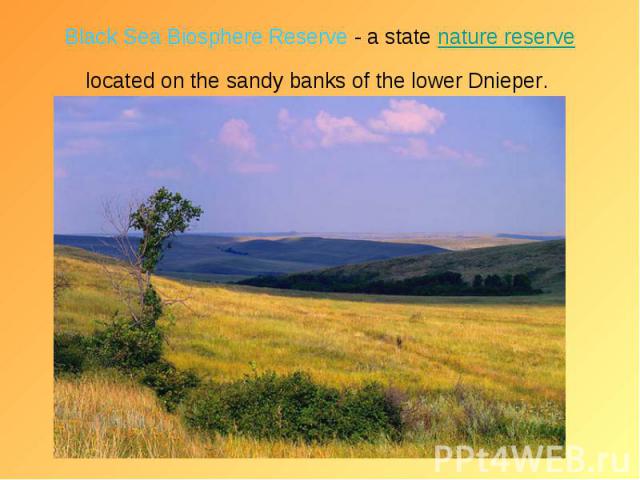 Black Sea Biosphere Reserve - a state nature reserve located on the sandy banks of the lower Dnieper.