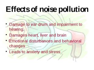 Effects of noise pollution Damage to ear drum and impairment to hearing. Damages
