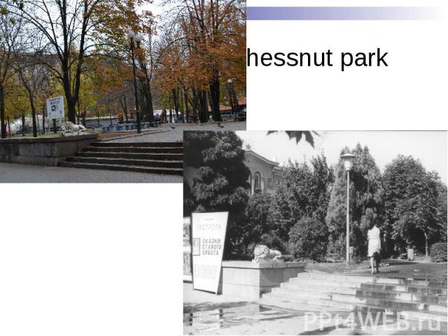 Chessnut park