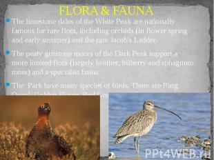 FLORA &amp; FAUNA The limestone dales of the White Peak are nationally famous fo