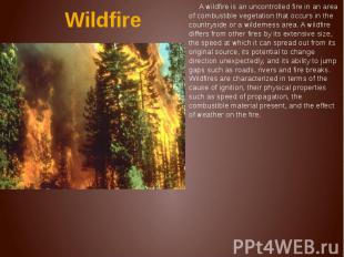 Wildfire A wildfire is an uncontrolled fire in an area of combustible vegetation