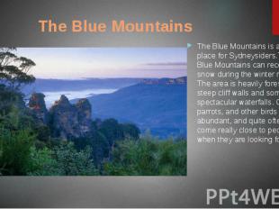 The Blue Mountains The Blue Mountains is a popular place for Sydneysiders.The Bl