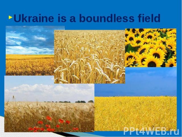 Ukraine is a boundless field