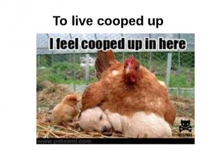 To live cooped up