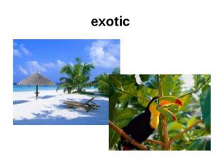 exotic