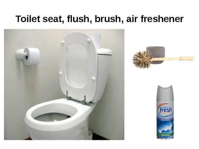 Toilet seat, flush, brush, air freshener