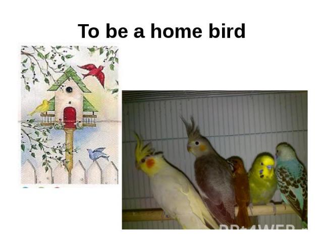 To be a home bird
