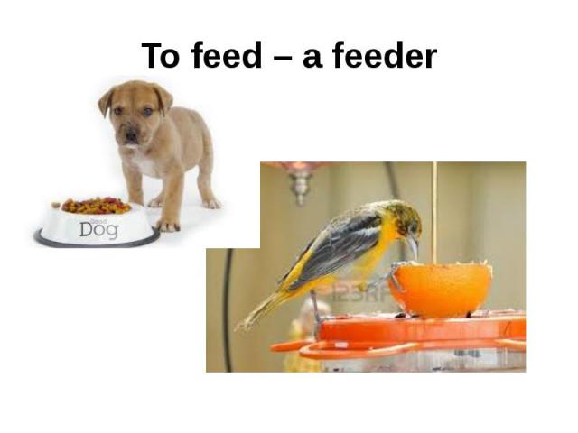 To feed – a feeder