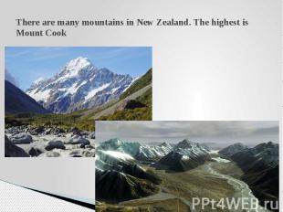 There are many mountains in New Zealand. The highest is Mount Cook