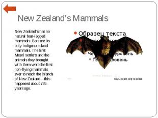 New Zealand’s Mammals