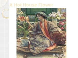A Hot House Flower