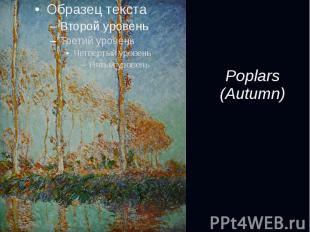 Poplars (Autumn)
