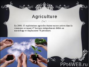 Agriculture En 2000, 15 exploitations agricoles étaient encore actives dans la c