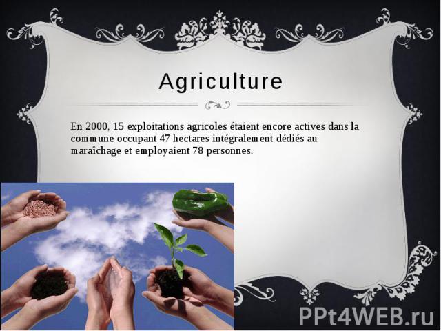 Agriculture En 2000, 15 exploitations agricoles étaient encore actives dans la commune occupant 47 hectares intégralement dédiés au maraîchage et employaient 78 personnes.