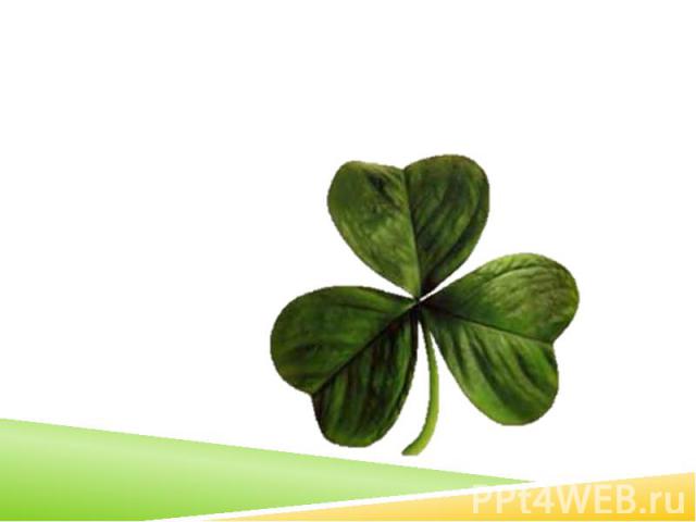 According to legend, Saint Patrick used the three-leaved shamrock to explain the Holy Trinity to Irish pagans.