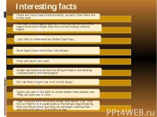 Interesting facts