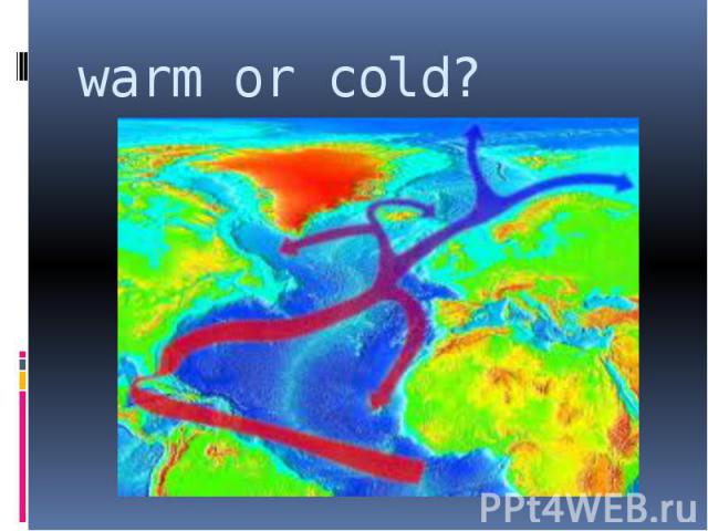 warm or cold?
