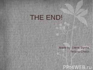 THE END! THE END! Made by: Olena Slyvka Tetiana Chekh