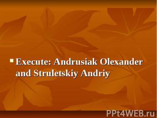 Execute: Andrusiak Olexander and Struletskiy Andriy Execute: Andrusiak Olexander