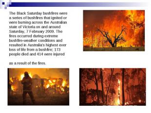 The Black Saturday bushfires were a series of bushfires that ignited or were bur