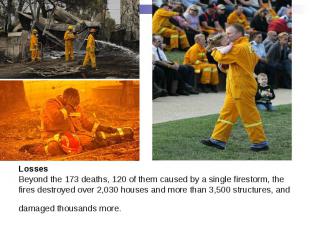 Losses Beyond the 173 deaths, 120 of them caused by a single firestorm, the fire