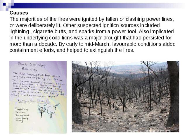 Causes The majorities of the fires were ignited by fallen or clashing power lines, or were deliberately lit. Other suspected ignition sources included lightning , cigarette butts, and sparks from a power tool. Also implicated in the underlying condi…