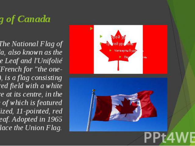 Flag of Canada The National Flag of Canada, also known as the Maple Leaf and l'Unifolié (French for "the one-leafed"), is a flag consisting of a red field with a white square at its centre, in the middle of which is featured a stylized, 11…