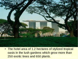 The hotel area of 1.2 hectares of stylized tropical oasis in the lush gardens wh