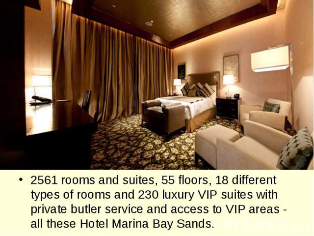 2561 rooms and suites, 55 floors, 18 different types of rooms and 230 luxury VIP suites with private butler service and access to VIP areas - all these Hotel Marina Bay Sands.