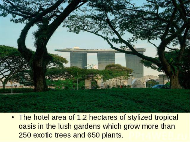 The hotel area of 1.2 hectares of stylized tropical oasis in the lush gardens which grow more than 250 exotic trees and 650 plants.