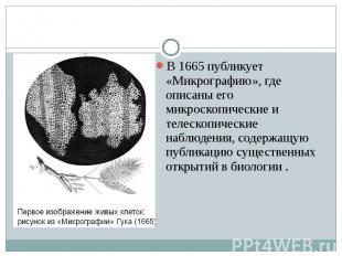 В 1665 публикует «Микрографию», где описаны его микроскопические и телескопическ