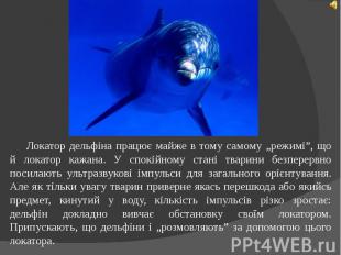 Локатор дельфіна працює майже в тому самому „режимі”, що й локатор кажана. У спо