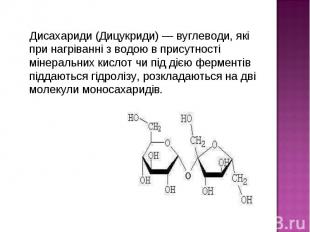 Дисахариди (Дицукриди) — вуглеводи, які при нагріванні з водою в присутності мін