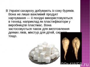 В Україні сахарозу добувають із соку буряків. Вона не лише важливий продукт харч
