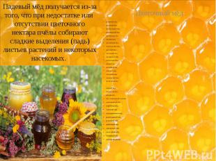 Падевый мёд получается из-за того, что при недостатке или&nbsp; отсутствии цвето