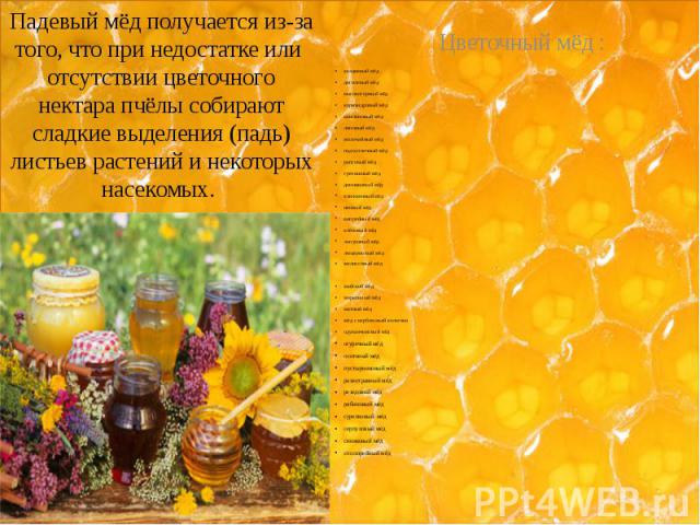 Падевый мёд получается из-за того, что при недостатке или  отсутствии цветочного нектара пчёлы собирают сладкие выделения (падь) листьев растений и некоторых насекомых.  акациевый мёд дягилевый мёд высокогорный мёд кориандровый м…