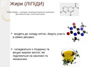 Жири (ЛІПІДИ) Жири (ліпіди) — речовини, які використовуються організмом для енер
