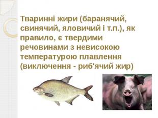 Тваринні жири (баранячий, свинячий, яловичий і т.п.), як правило, є твердими реч
