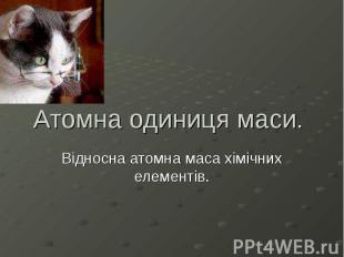 Атомна одиниця маси. Відносна атомна маса хімічних елементів.