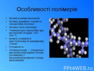 Особливості полімерів Великі розміри молекули Велика довжина і гнучкість ланцюго