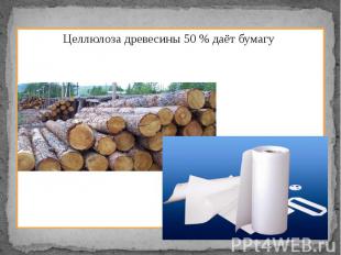 Целлюлоза древесины 50 % даёт бумагу Целлюлоза древесины 50 % даёт бумагу