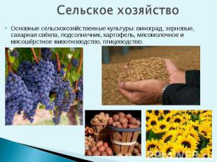 Основные сельскохозяйственные культуры: виноград, зерновые, сахарная свёкла, под