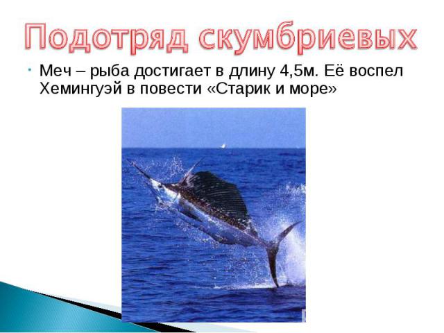 Меч – рыба достигает в длину 4,5м. Её воспел Хемингуэй в повести «Старик и море» Меч – рыба достигает в длину 4,5м. Её воспел Хемингуэй в повести «Старик и море»