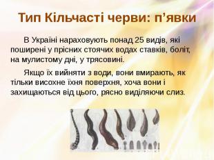 Тип Кільчасті черви: п’явки В Україні&nbsp;нараховують понад 25 видів, які пошир