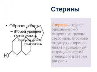 Стерины Стерины— группа биохимических веществ из группы стероидов. В основе стру