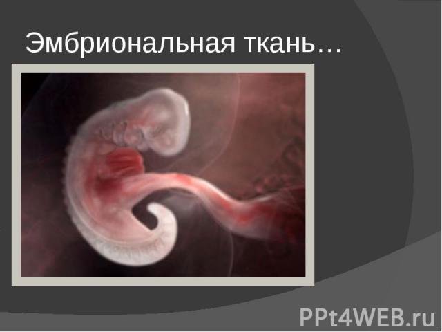 Эмбриональная ткань…
