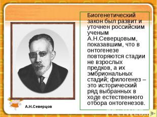 Биогенетический закон был развит и уточнен российским ученым А.Н.Северцовым, пок