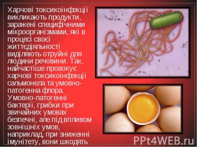 Харчові токсикоінфекції викликають продукти, заражені специфічними мікроорганізмами, які в процесі своєї життєдіяльності виділяють отруйні для людини речовини. Так, найчастіше провокує харчові токсикоінфекції сальмонела та умовно-патогенна флора. Ум…