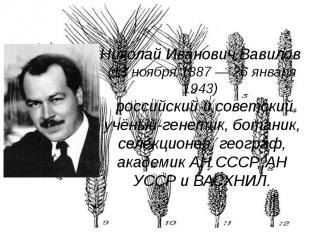Николай Иванович Вавилов (13 ноября 1887 — 26 января 1943) российский и советски