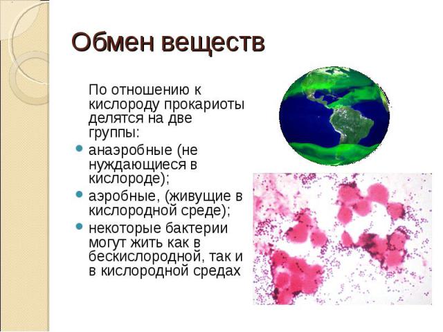 По отношению к кислороду прокариоты делятся на две группы: По отношению к кислороду прокариоты делятся на две группы: анаэробные (не нуждающиеся в кислороде); аэробные, (живущие в кислородной среде); некоторые бактерии могут жить как в бескислородно…